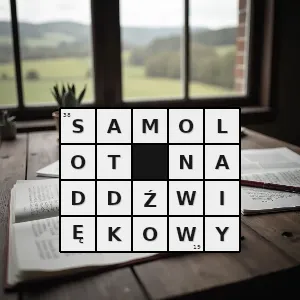 Hasło krzyżówkowe samolot przystosowany do poruszania się z prędkościami większymi od prędkości dźwięku - samolot naddźwiękowy – rozwiązanie, synonimy, podpowiedzi i definicje krzyżówkowe